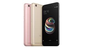 Бюджетник Xiaomi Redmi 5A оснастили 5'' дисплеем  - изображение