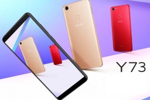 Дебют Vivo Y73 – первый смартфон на базе процессора Snapdragon 439 - изображение