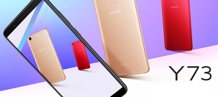 Дебют Vivo Y73 – первый смартфон на базе процессора Snapdragon 439 - изображение