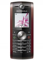 Фото Motorola W208