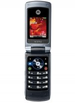 Фото Motorola W396